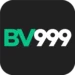 bv999