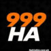 999ha game